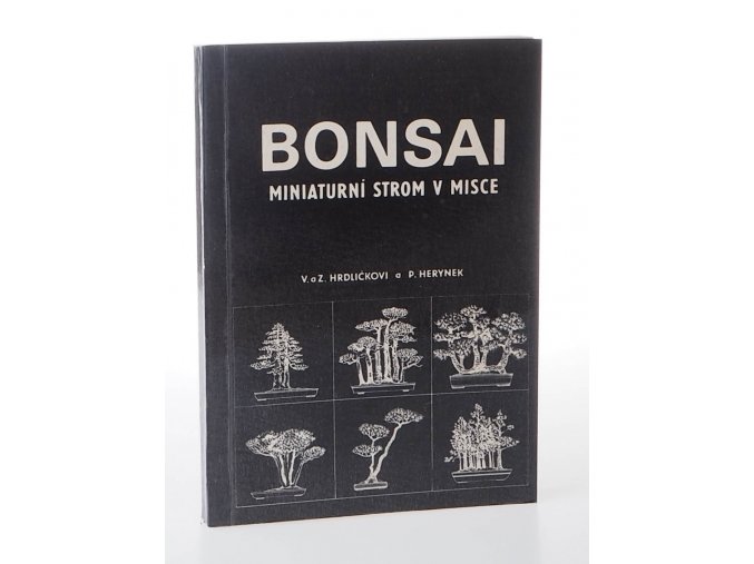 Bonsai : miniaturní strom v misce