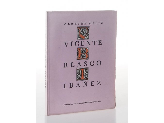 Vincente Blasco Ibáněz : Jeho názory na společnost a jeho umělecká metoda