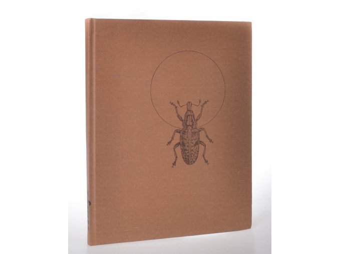 Hmyz známý i neznámý pronásledovaný chráněný