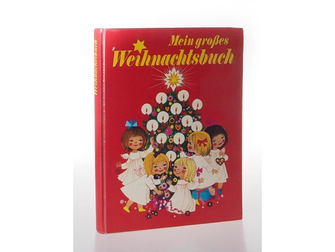 Mein grosses Weihnachtsbuch