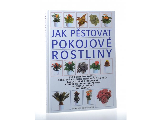 Jak pěstovat pokojové rostliny