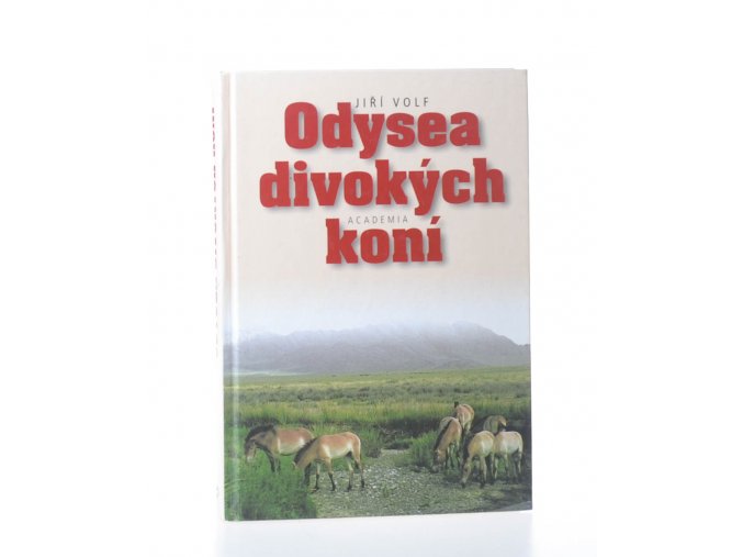 Odysea divokých koní