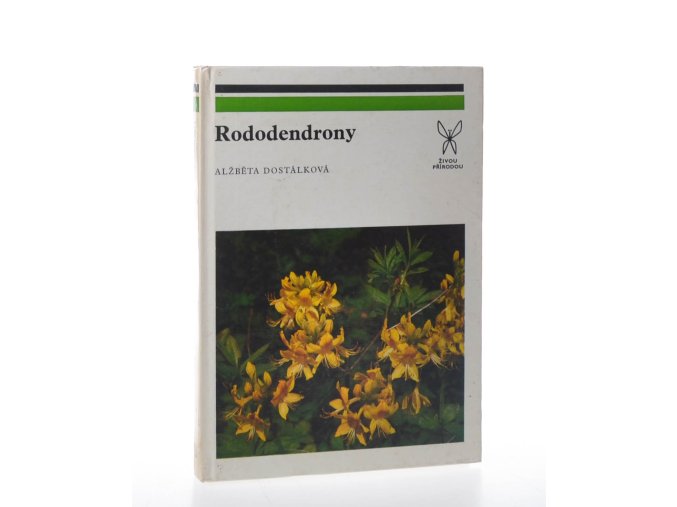 Rododendrony