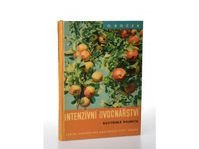 Intenzívní ovocnářství (Ruzyňská palmeta)
