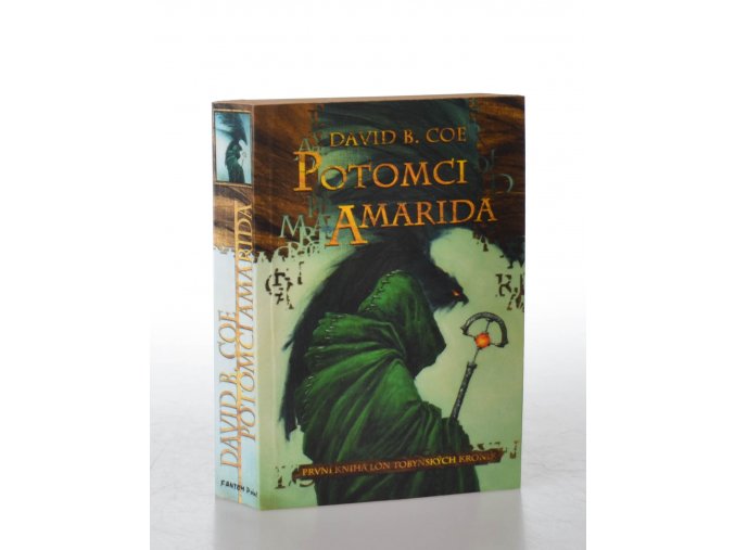Potomci Amarida : první kniha Lon Tobynských kronik