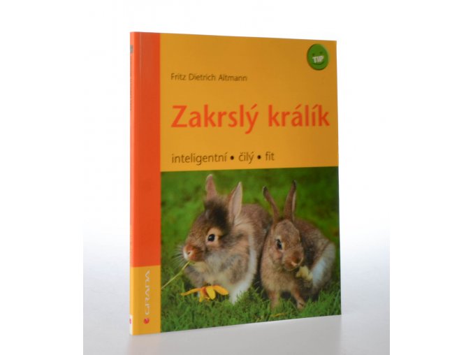 Zakrslý králík  : inteligentní, čilý, fit