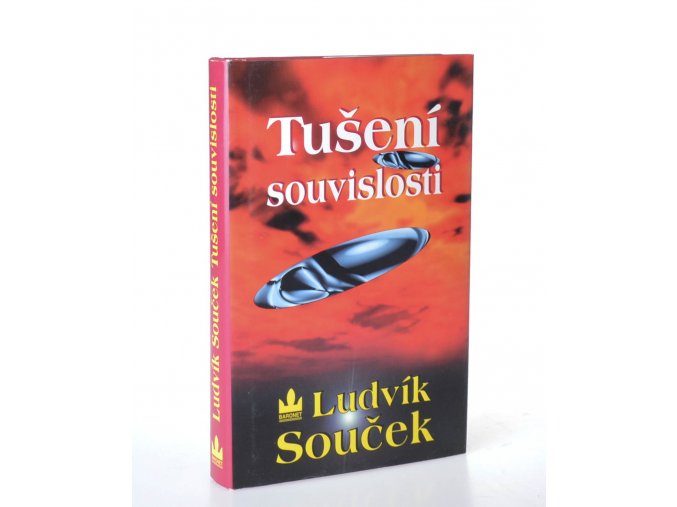 Tušení souvislosti (1998)