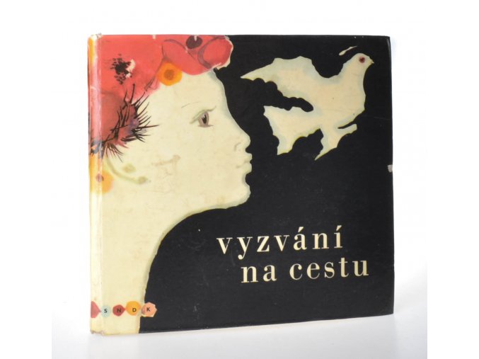 Vyzvání na cestu : encyklopedie současné české poezie