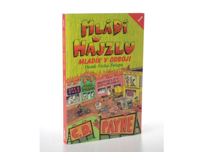Mládí v hajzlu : deník Nicka Twispa. Kn. 1, Mladík v odboji (2009)