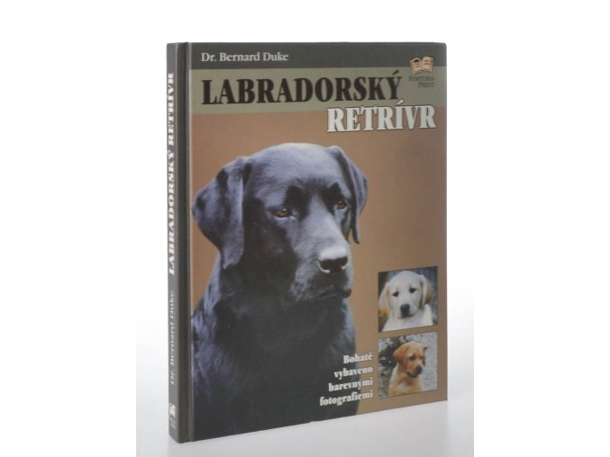 Labradorský retrívr (2001)