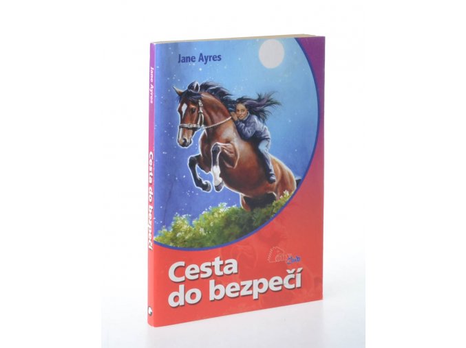 Cesta do bezpečí