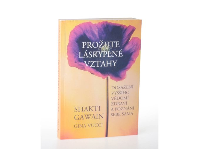 Prožijte láskyplné vztahy : dosažení vyššího vědomí, zdraví a poznání sebe sama