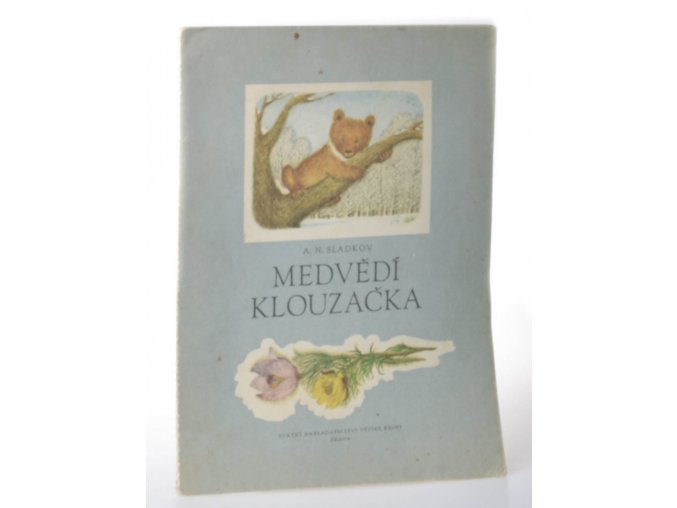 Medvědí klouzačka