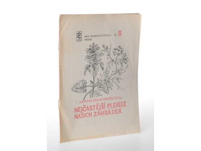 Nejčastější plevele našich zahrádek