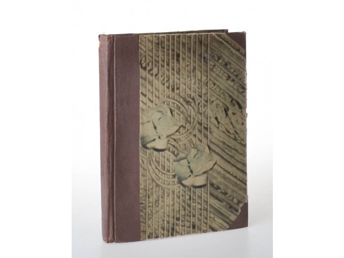 O veveřici : románek šedé veverky