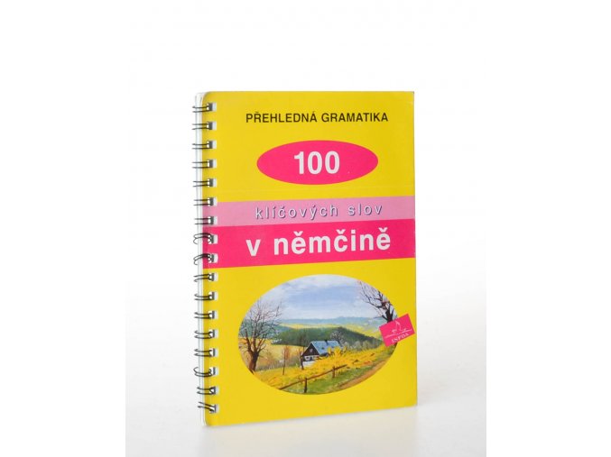 Přehledná gramatika : 100 klíčových slov v němčině