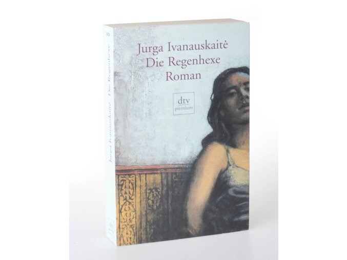 Die Regenhexe : roman