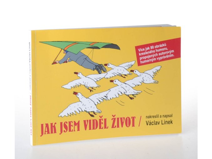 Jak jsem viděl život