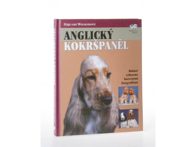 Anglický kokršpaněl