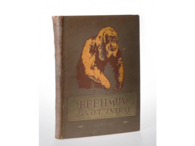 Brehmův illustrovaný život zvířat 1. : Ssavci - sv. 1 Opice, Obři říše živočišné. Obrovští ssavci mořští