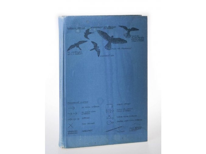 Výpravy za dobrodružstvím (1986)