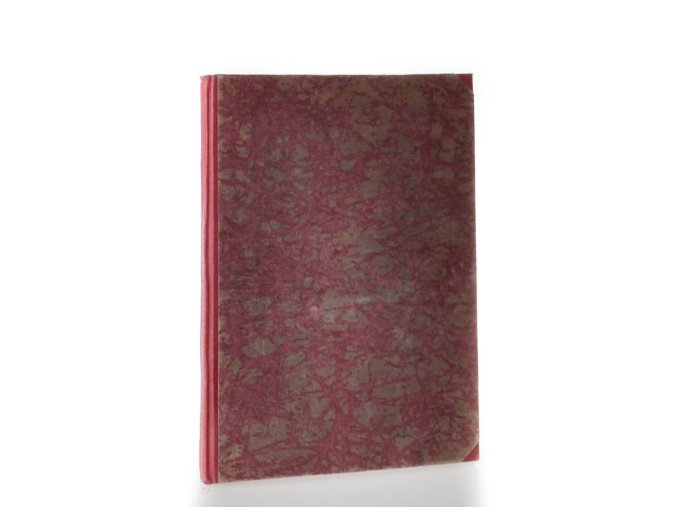 Svatý Jan Nepomucký : světlo v temnotách