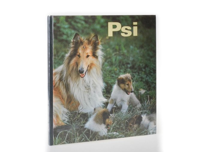 Psi (1990)