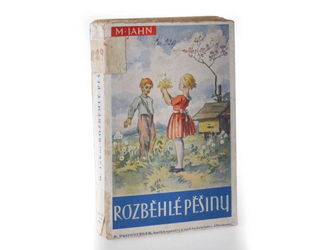 Rozběhlé pěšiny : sbírka povídek