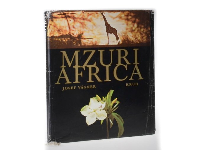 Mzuri Africa