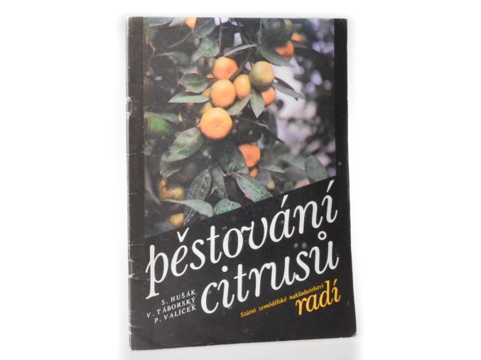 Pěstování citrusů