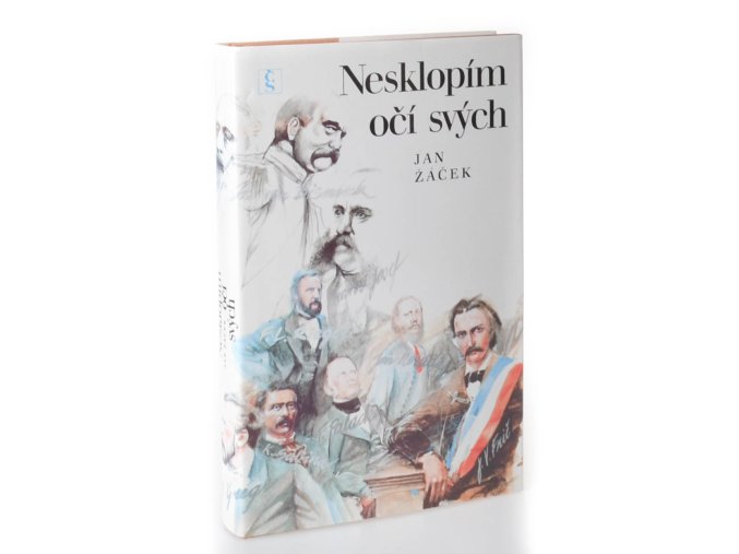 Nesklopím očí svých