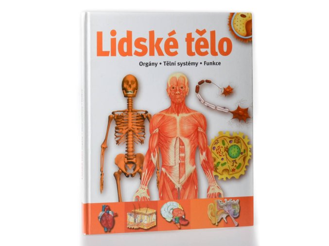 Lidské tělo : orgány, tělní systémy, funkce