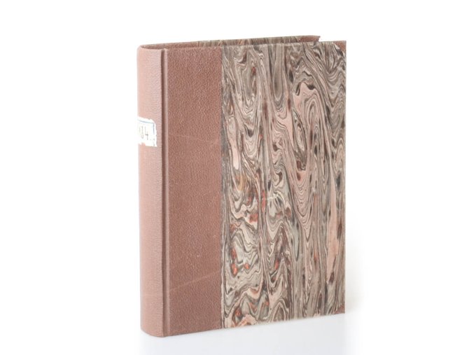 Muž a stín : pražský detektivní román (1932)