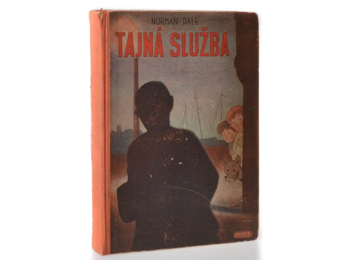 Tajná služba : román pro chlapce