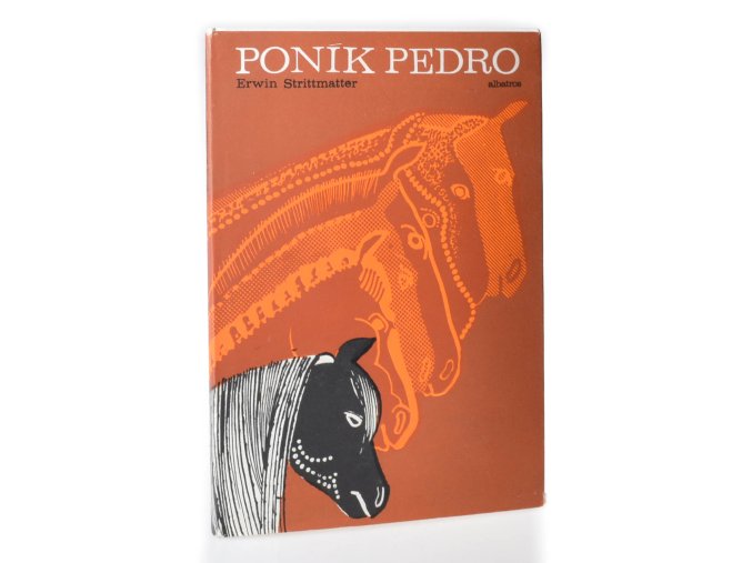 Poník Pedro