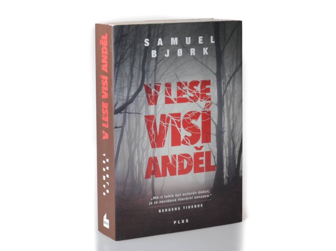 V lese visí anděl
