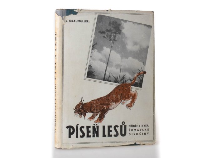 Píseň lesů : Příběh rysa z divočiny šumavského pralesa