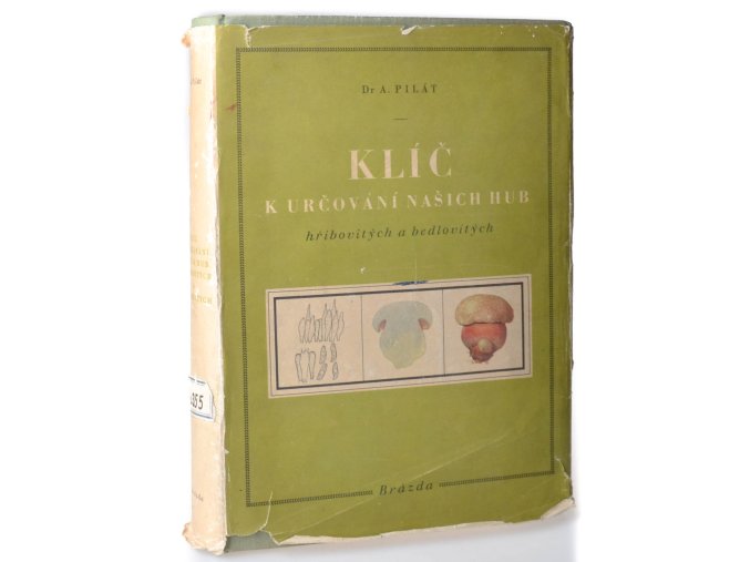 Klíč k určování našich hub hřibovitých a bedlovitých (1951)