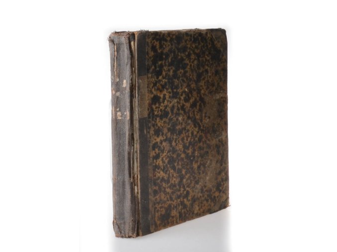 Otec a syn : povídka z venkovského života a zkušeností ve Vídni