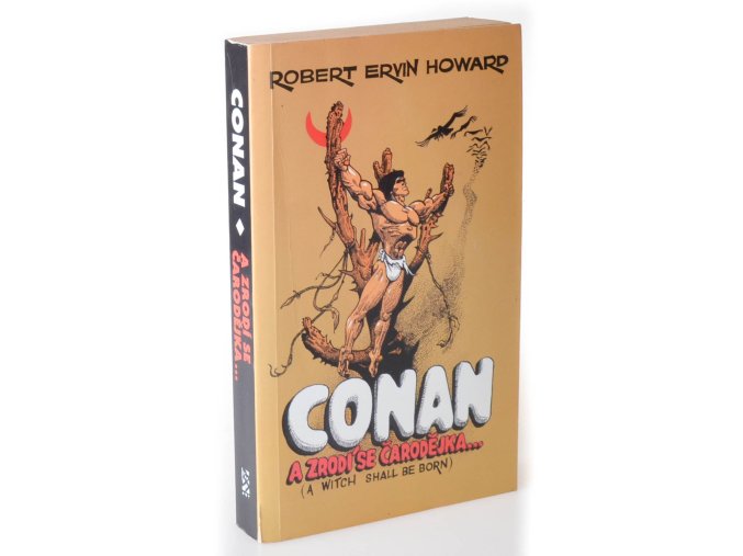 ...a zrodí se čarodějka : a jiné povídky