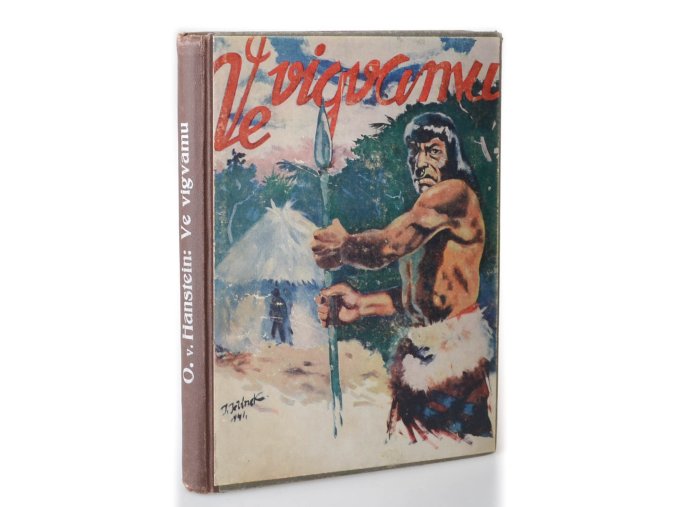 Ve vigvamu : Povídka z argentinského Chaca