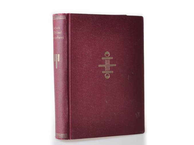 Hříšné mateřství : společenský román