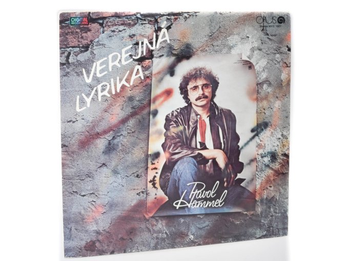Verejná lyrika