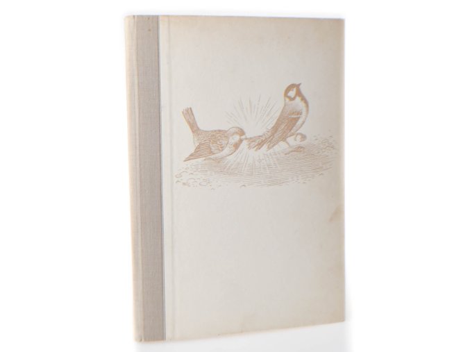 Jak sýkorka přišla o ocásek