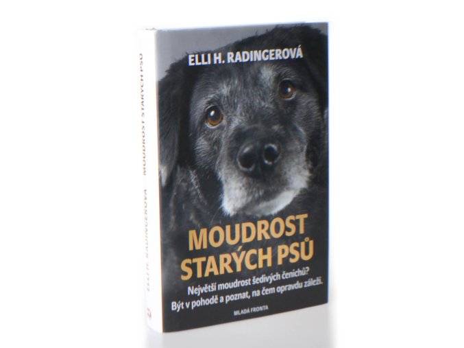 Moudrost starých psů