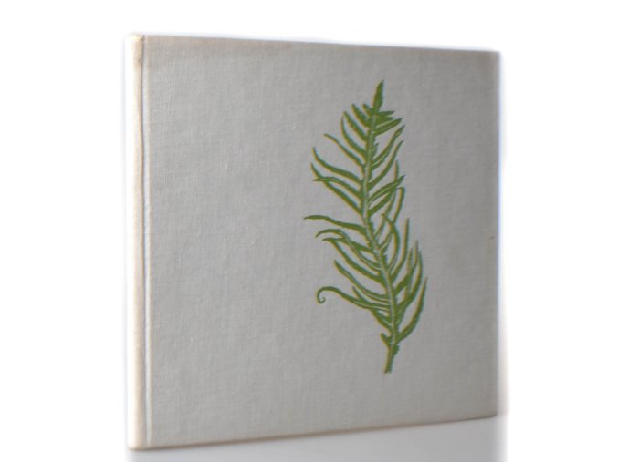 Zpívající vodopád