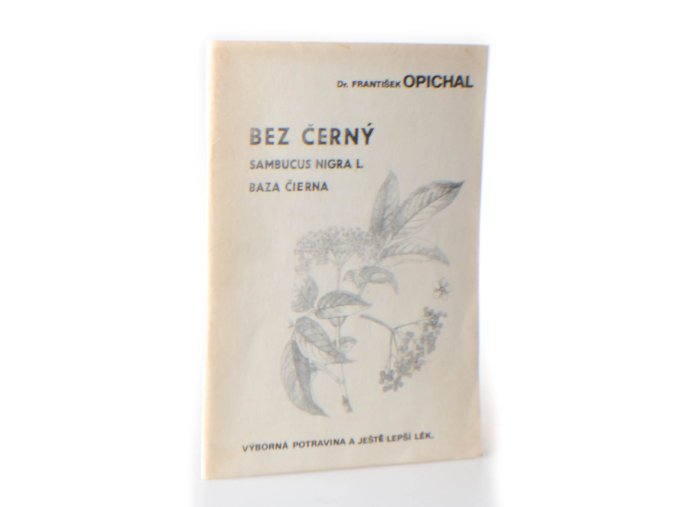 Bez černý : Sambucus Nigra L. - Baza Čierna