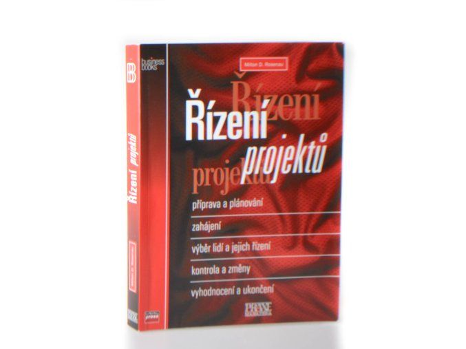 Řízení projektů
