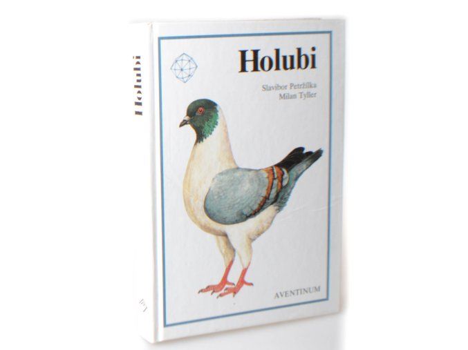 Holubi
