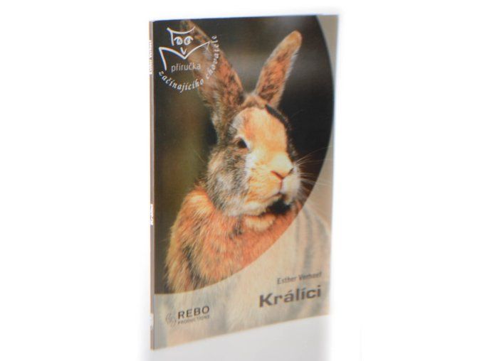 Králíci